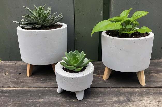 Photo diy concrete plant pot