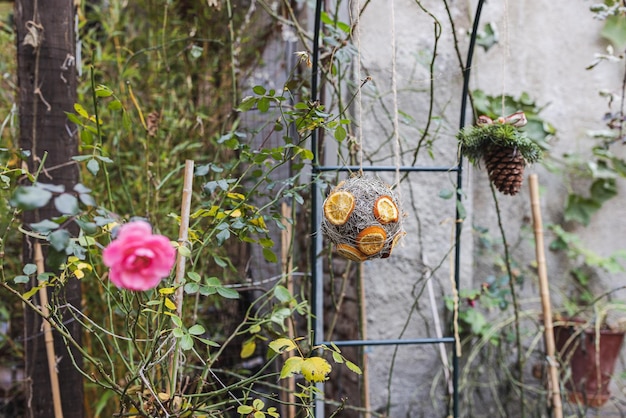 DIY handgemaakte natuurlijke decoratie gemaakt van sinaasappelschijfje op kerstboom