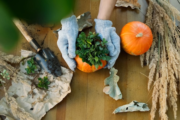 DIY herfst tuindecoratie