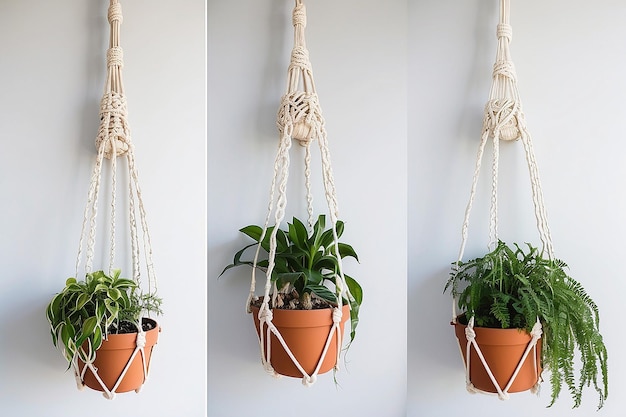 DIY Macrame Plant Hanger Shelf