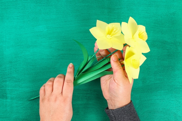 La molla di diy fiorisce i narcisi di carta gialla su un fondo verde.