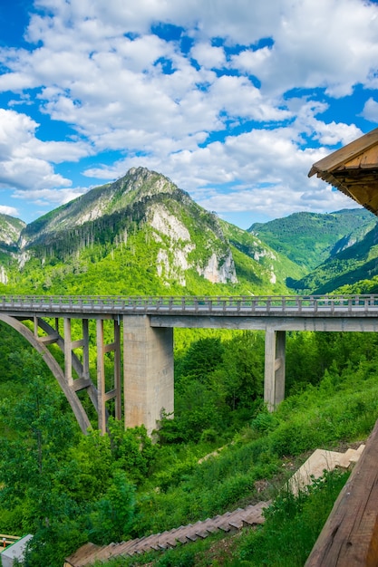 The Djurdjevic Bridge crosses the canyon of the Tara River in the north of Montenegro.