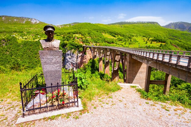 Djurdjevic Tara river bridge near Zabljak Montenegro