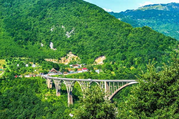 Djurdjevicha-brug over rivier Tara in bergen van Montenegro