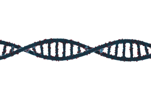 Photo dna and biotechnology concept