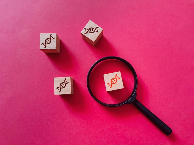 Photo dna chain icon on wooden cubes with magnifier mutations and genetic study concept