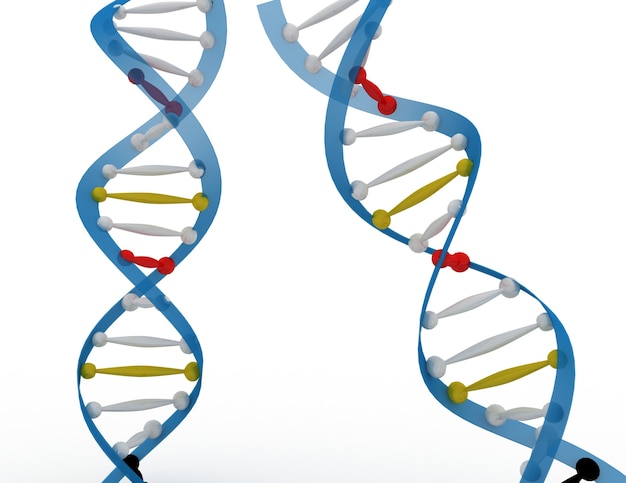 사진 dna 개념