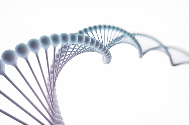 Foto dna geïsoleerd op witte achtergrond