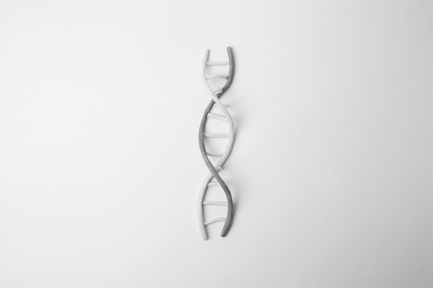 Photo dna molecule model made of colorful plasticine on white background top view