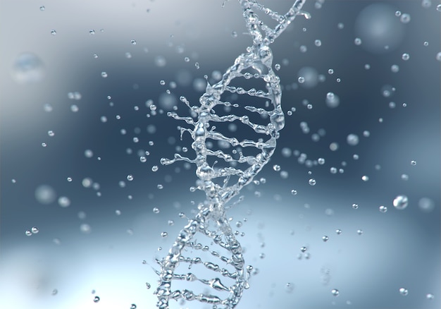 DNA molecule structure