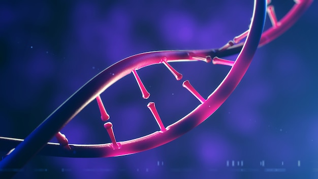 DNA molecule