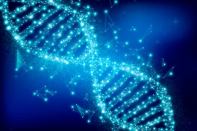 Photo dna representation concept