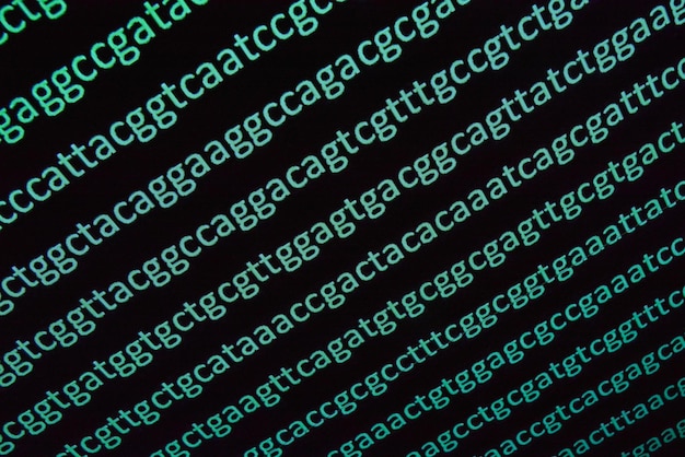 Photo dna sequencing