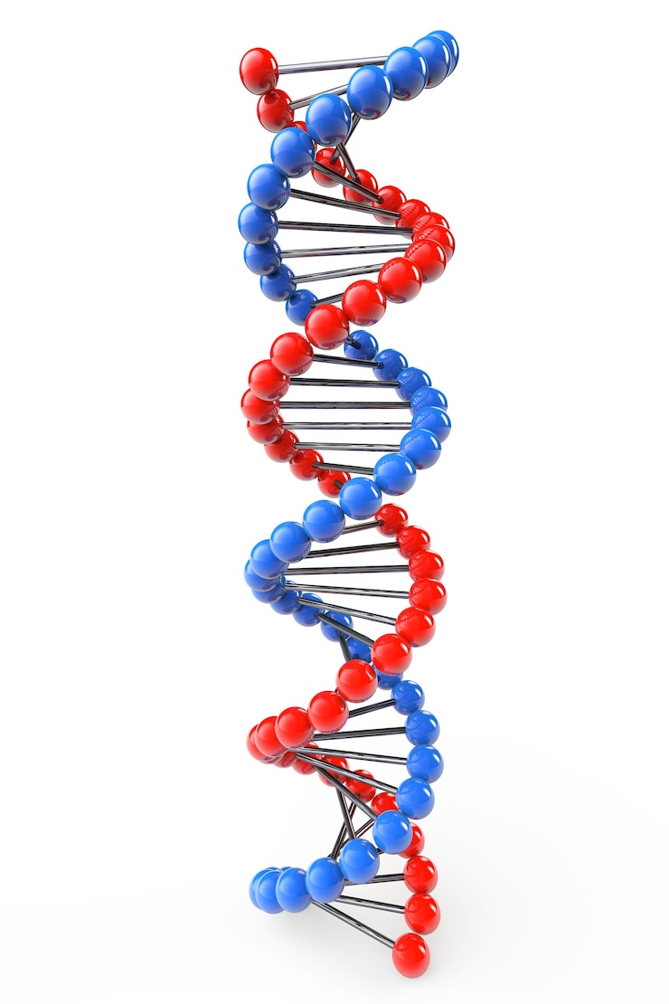 Foto dna-structuur op een witte achtergrond