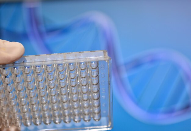 DNA testing in genetic laboratories