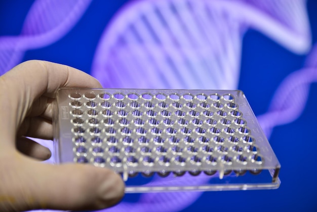 Dna testing in genetic laboratories