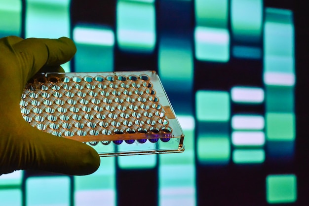 Photo dna testing in a scientific laboratory