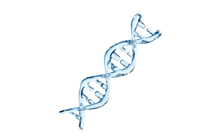 Photo dna in the white background 3d rendering