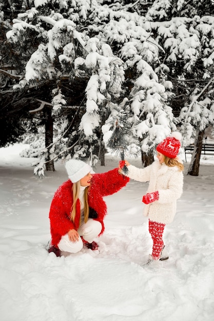 Dochter blaast sneeuw van een vuren tak op haar moeder. kerstvakantie.