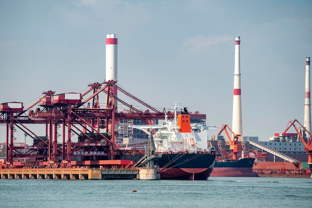 Dock cranes loading containers trade port shipping