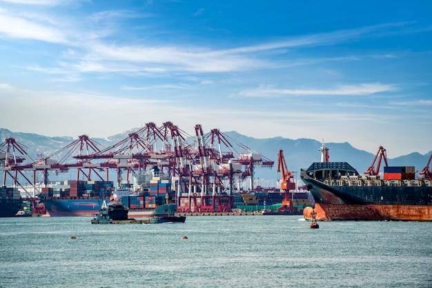 Gru portuali che caricano container commerciano spedizioni portuali