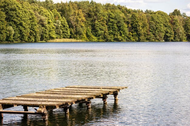 배경 에 나무 가 있는 호수 에 있는 도크
