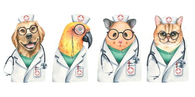 Doctor animals cat dog hamster parrot in medical clothes Watercolor illustration Set from the VETERINARY collection For the design and design of clinics hospitals and pharmacies