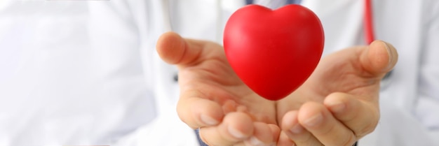 Doctor cardiologist holds small red heart closeup