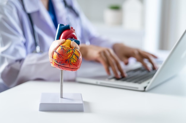 医師は人間の心臓の解剖学的モデルを使用してラップトップで患者を診察します 心臓専門医が心臓をサポートします オンラインでの医師の予約