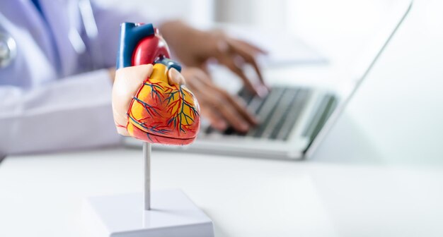 Foto il medico consulta il paziente sul laptop con il modello anatomico del cuore umano il cardiologo supporta il cuore appuntamento medico online