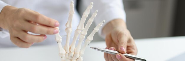 Photo doctor examines model of hand of human skeleton