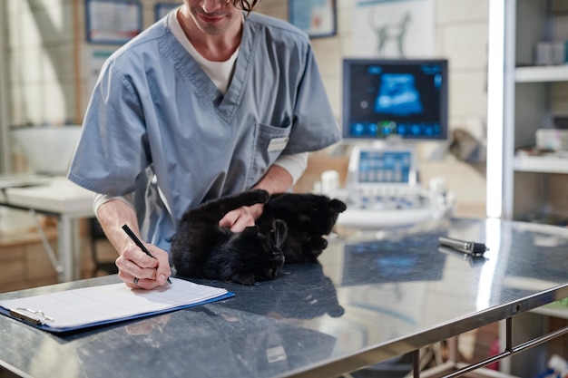 Doctor examining the sick cat