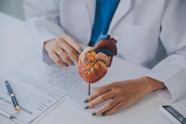 Foto il dottore spiega il cuore a un paziente anziano, il dottore explica il modello di cuore, i medici indicano con la penna un modello di cuore.