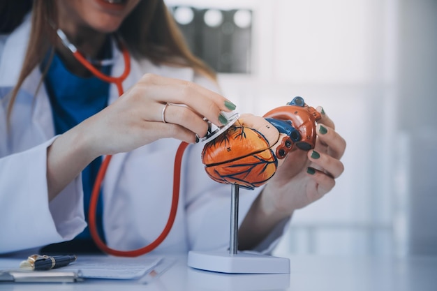 Foto il dottore spiega il cuore a un paziente anziano, il dottore explica il modello di cuore, i medici indicano con la penna un modello di cuore.