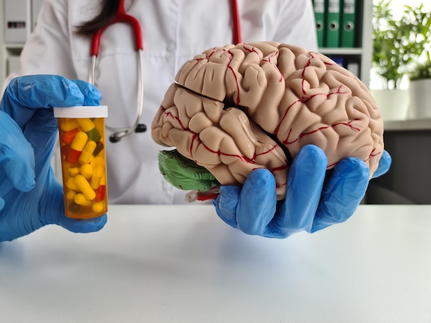 Doctor hand holds drug model of human brain