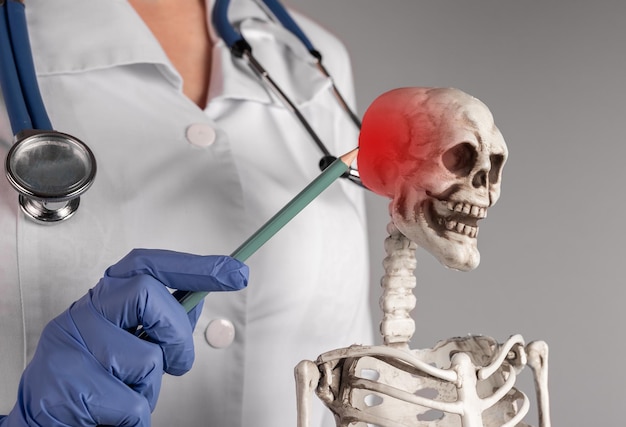 Doctor hand pointing with pencil to skeleton skull with red point Neuralgia headache Skeletal system anatomy medical education concept Woman in lab coat with stethoscope