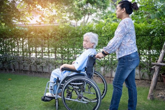 doctor help and care asian senior woman patient sitting on wheelchair at park