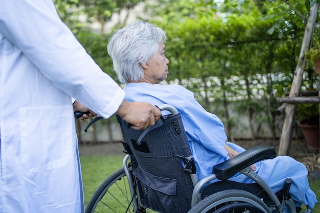 doctor help and care asian senior woman patient sitting on wheelchair at park