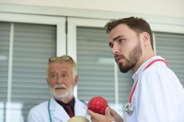 Foto dottore che tiene un modello anatomico da un collega in ospedale