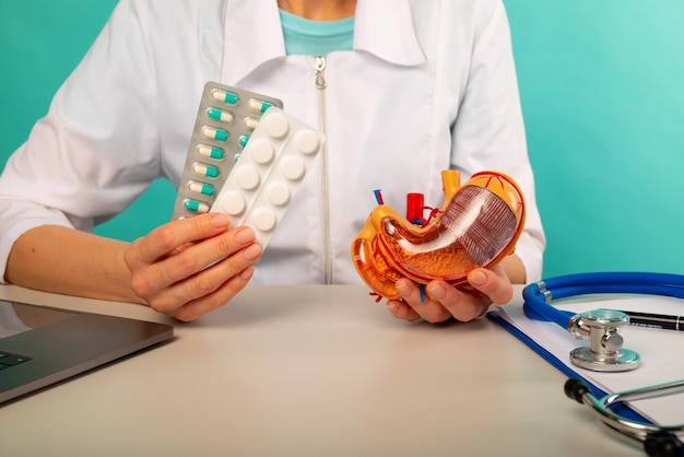 Foto medico che tiene il modello anatomico dello stomaco e le pillole nel suo ufficio