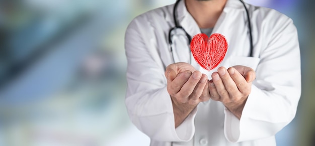 Doctor holding a heart in his hand