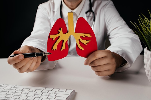 Doctor holding lung organ model Prevention and treatment