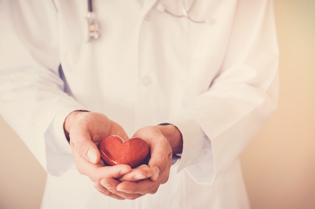 Doctor holding red heart , heart health,  health insurance concept