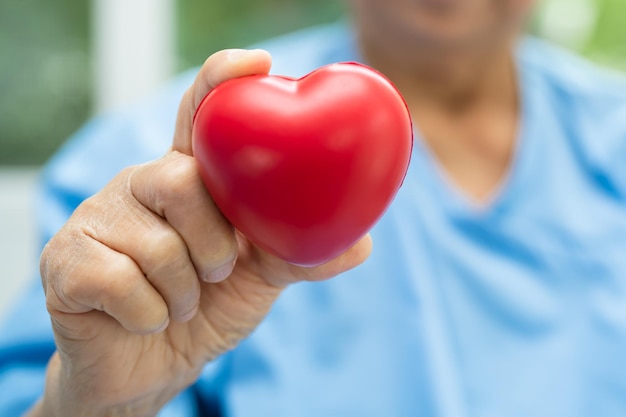 Doctor holding a red heart in hospital healthy strong medical concept