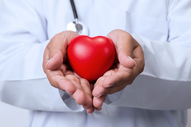 Doctor holding a red heart