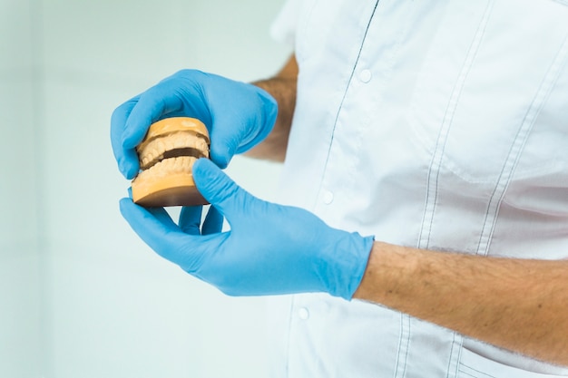 Photo doctor holding tooth model