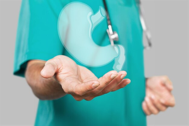 Photo a doctor holding virtual stomach in hand healthcare hospital service concept