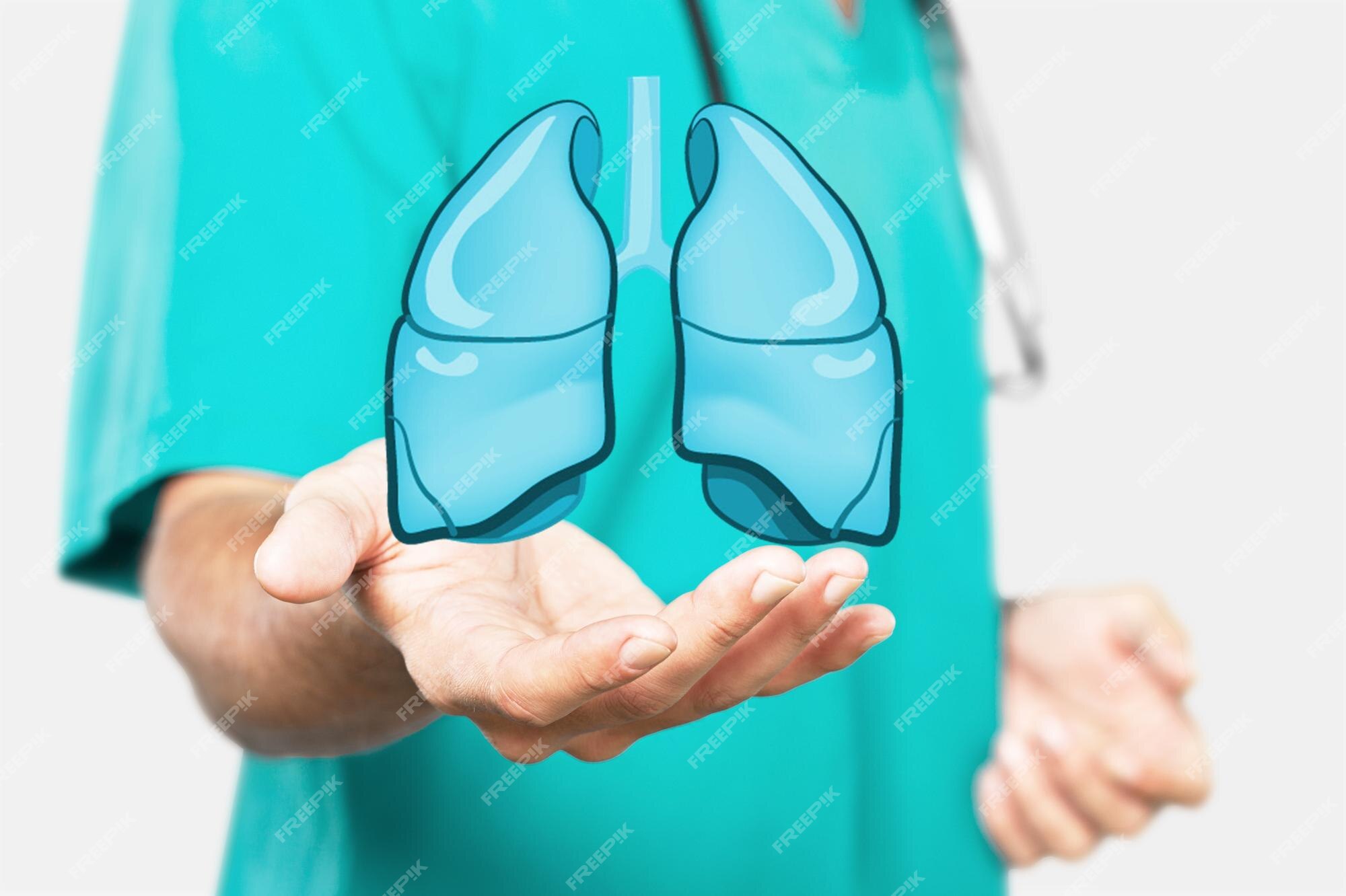 Premium Photo | The doctor holds the lungs organ symbol Awareness of