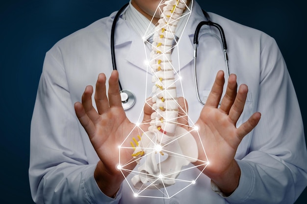 A doctor holds up a spine in front of his hands.