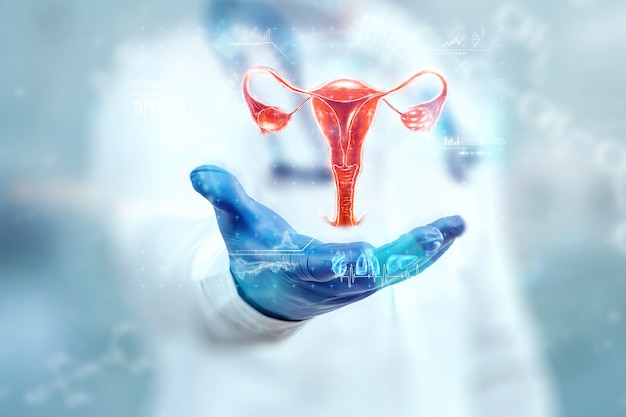 Il medico guarda l'ologramma dell'utero femminile, controlla il risultato del test. malattia ovarica, gravidanza ectopica, mestruazioni dolorose, chirurgia, tecnologie innovative, medicina del futuro.